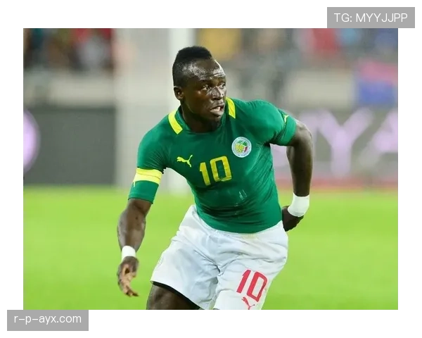 塞内加尔新领导人马内上任，开启国家发展与稳定新篇章