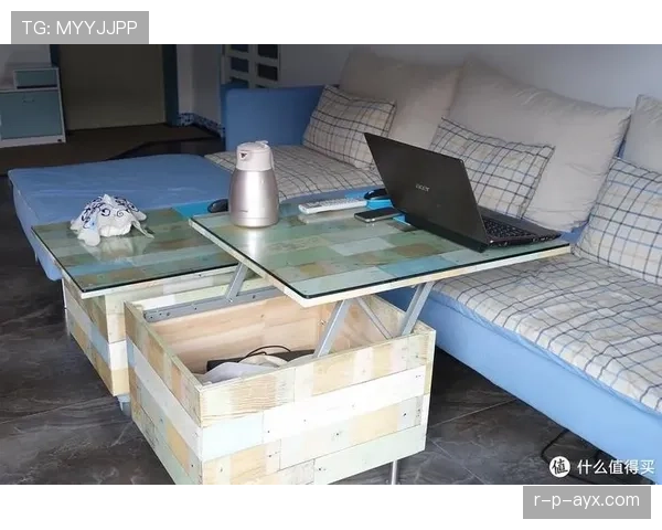 庞伟晒的客厅一瞬间把我拉回现实——那张茶几的价直接能付我半年房租